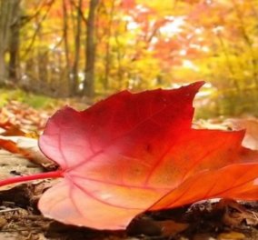 4 απλές ασχολίες για να κάψετε θερμίδες το φθινόπωρο - Κυρίως Φωτογραφία - Gallery - Video