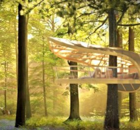 Καλημέρα με αρχιτεκτονικά θαύματα στη φύση-Δείτε σπίτια μέσα στο δάσος που σίγουρα θα θέλατε να μένετε - Κυρίως Φωτογραφία - Gallery - Video