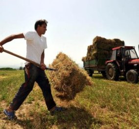 Good News: Πριμ έως 20.000 ευρώ σε νέους αγρότες για επιστροφή στην ύπαιθρο - Διαβάστε τα κριτήρια! - Κυρίως Φωτογραφία - Gallery - Video