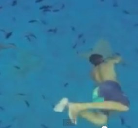 Απερισκεψία ή τόλμη - Δείτε στο βίντεο έναν τουριστά στο νησί Μπόρα - Μπόρα να παίρνει αγκαλιά έναν καρχαρία μέσα στο νερό! (βίντεο) - Κυρίως Φωτογραφία - Gallery - Video