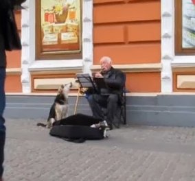 Χαχαχα - Πλανόδιος μουσικός πλούτισε στην κυριολεξία όταν ένας σκύλος κάθισε δίπλα του και... τραγουδούσε! (βίντεο) - Κυρίως Φωτογραφία - Gallery - Video