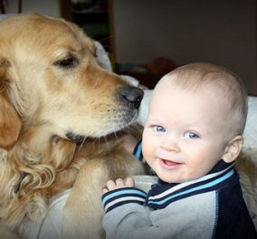 Εσείς ξέρατε ότι τα σκυλιά στο σπίτι «προστατεύουν» τα παιδιά από το άσθμα;