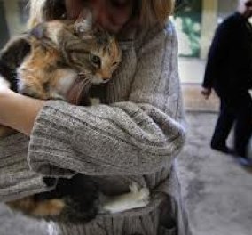 Συγκινητικό! Μια γκρίζα γάτα διέσχισε τη Μεσόγειο στην αγκαλιά μιας μικρής μετανάστριας και έφτασε στην Ιταλία! - Κυρίως Φωτογραφία - Gallery - Video