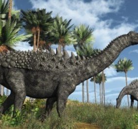 Ερευνητές ταξινόμησαν δύο είδη δεινοσαύρων ηλικίας 72 εκατομμυρίων ετών! - Κυρίως Φωτογραφία - Gallery - Video