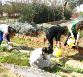 Good news: 50 τετρ. μέτρα προσφέρει ο Δήμος Πατρών σε άπορους για να καλλιεργούν μαζί με την οικογένειά τους - τα προϊόντα που θα παράγουν θα είναι μόνο για προσωπική χρήση! - Κυρίως Φωτογραφία - Gallery - Video