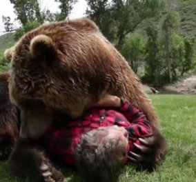Απίστευτο βίντεο - Δεν φοβάται και βάζει το κεφάλι του μέσα στο στόμα αρκούδας! (βίντεο) - Κυρίως Φωτογραφία - Gallery - Video