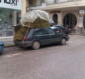 Τρίκαλα: Η φωτό που κάνει τον γύρο του διαδικτύου! - Κυρίως Φωτογραφία - Gallery - Video