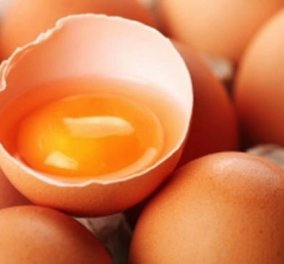 20χρονος πέθανε αφού έβαλε στοίχημα και έφαγε 30 ωμά αυγά μεμιάς! - Κυρίως Φωτογραφία - Gallery - Video