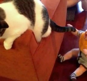 Cute video: το μωρό παίζει με την ουρά της γάτας!Smile its the end of the year! - Κυρίως Φωτογραφία - Gallery - Video