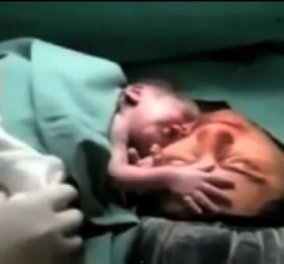 Συγκινητικό -  Νεογέννητο αρνείται να αποχωριστεί τη μαμά του μετά τον τοκετό! (βίντεο)  - Κυρίως Φωτογραφία - Gallery - Video