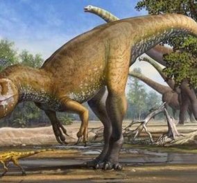 Torvosaurus gurneyi - Αυτός ήταν ο πιο φονικός δεινόσαυρος της Ευρώπης - Ανακαλύφθηκαν τα απολιθώματα του στην Πορτογαλία! (φωτό) - Κυρίως Φωτογραφία - Gallery - Video