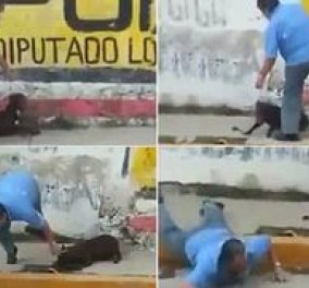 Μεξικανός βασανιστής σκύλου, τιμωρήθηκε όπως έπρεπε - Χτύπησε το ζώο με ζώνη, αλλά... (βίντεο) - Κυρίως Φωτογραφία - Gallery - Video