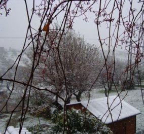 Δήμος Ερέτριας - Χιονισμένα τα ορεινά χωριά του δήμου με 30 εκ. το χιόνι στη Σέττα! - Κυρίως Φωτογραφία - Gallery - Video