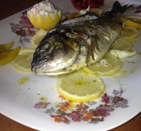 Είστε για ένα ψάρι στο φούρνο με μυρωδικά αφροδισιακά βότανα; Μας το φτιάχνει και μας ξετρελαίνει ο σεφ μας Κωνσταντίνος Μουζάκης - Κυρίως Φωτογραφία - Gallery - Video