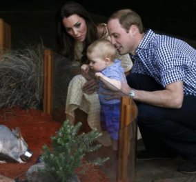 Royal Tour ημέρα 14η και καλύτερη : Επίσκεψη με βασιλόπουλο George στον ζωολογικό κήπο! Κέιτ και Γουίλιαμ χαζο - μαμά μπαμπάς πολύ δικαιολογημένα! Φωτογραφίες σουπερ! - Κυρίως Φωτογραφία - Gallery - Video