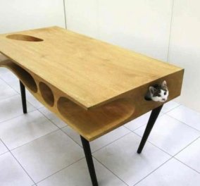 CATable: Το ιδανικό τραπέζι για να δουλεύετε, ένας μικρός... παράδεισος για τη γάτα σας! (φωτό) - Κυρίως Φωτογραφία - Gallery - Video