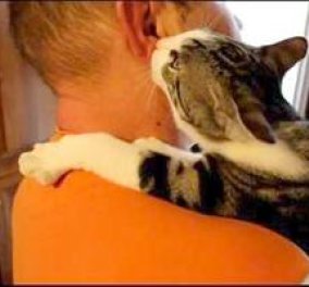 Άντε καλημέρα με ένα γατί τοοόσο γλυκό που γλείφει το αυτί του αφεντικού του! Τέλειο βίντεο για χαλάρωση! (βίντεο)  - Κυρίως Φωτογραφία - Gallery - Video