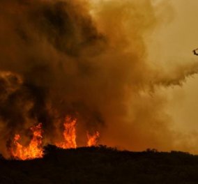 Μεγάλες οι καταστροφές από την πυρκαγιά στο Αντισκάρι Ηρακλείου-Έγιναν στάχτη αγροικίες, θερμοκήπια και αγροτικές καλλιέργειες