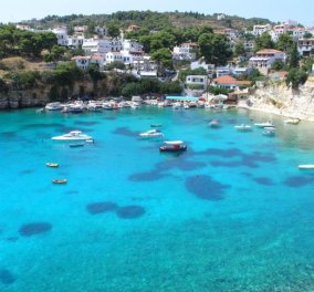 Greek Summer Dream: Αλόννησος: Ταξίδι στο ζευγαρονήσι των Σποράδων, με το απέραντο γαλαζοπράσινο τοπίο, τις φώκιες monachus monachus, τα πεύκα που φτάνουν ως το κύμα και τα κρυστάλλινα νερά - Κυρίως Φωτογραφία - Gallery - Video