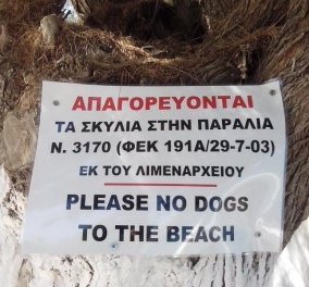 Το Λιμεναρχείο Κύθνου απαγορεύει τα σκυλιά στην παραλία επικαλούμενο νόμο που έχει καταργηθεί; Είναι δυνατόν; Διαβάστε την καταγγελία της Πανελλαδικής Φιλοζωικής Ομοσπονδίας - Κυρίως Φωτογραφία - Gallery - Video