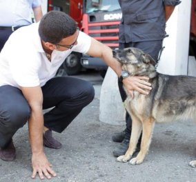 Κακοποιείς ζώα; Πλήρωνε 20.000 ευρώ-Αυστηροποίηση των ποινών ζητά ο Β. Κικίλιας από τον Χαράλαμπο Αθανασίου - Κυρίως Φωτογραφία - Gallery - Video