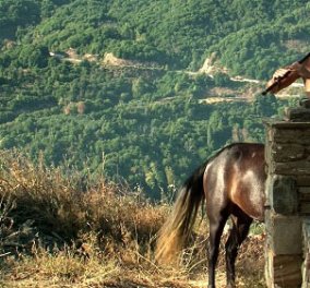 Έρχεται από το Πήλιο στη Στέγη: Το Μουσικό Χωριό! - Κυρίως Φωτογραφία - Gallery - Video