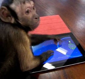 Πίθηκοι με iPad σε ζωολογικό κήπο - να δεις που παίζουν και angry birds!  - Κυρίως Φωτογραφία - Gallery - Video