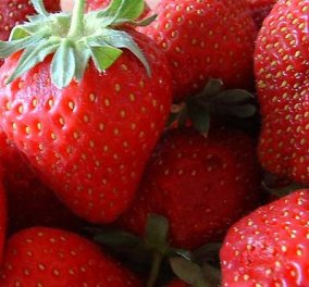Οι φράουλες κάνουν καλό στην οστεοαρθρίτιδα!! - Κυρίως Φωτογραφία - Gallery - Video