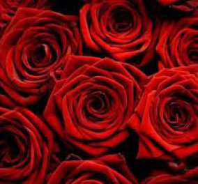 Ιρανός αγόρασε 777 τριαντάφυλλα για τη γυναίκα του με απόφαση δικαστηρίου