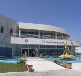 Το AQUARIUM της Κρήτης μια καλοκαιρινή επίσκεψη που θα σας συναρπάσει