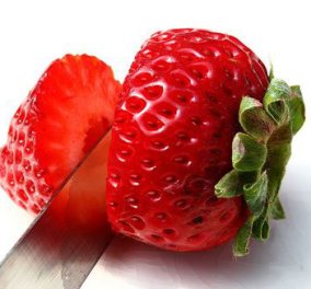 Πολύ καλό! Διαβάστε Σ. Θεοδωράκη σήμερα: ''Κόψτε τους τις φράουλες'' - Κυρίως Φωτογραφία - Gallery - Video