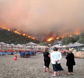 ''Ναι, έβαλα φωτιά'', παραδέχθηκε ο εμπρηστής της Χίου  - Κυρίως Φωτογραφία - Gallery - Video