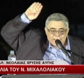 Πολιτική «θύελλα» για το ναζιστικό χαιρετισμό Μιχαλολιάκου - Κυρίως Φωτογραφία - Gallery - Video