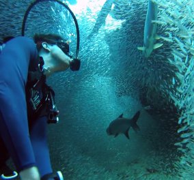 Εκπληκτικό βίντεο: Δύτης βουτάει στα καταγάλανα νερά της θάλασσας Silversides στο νησί Γκραντ Κέιμαν με μια κάμερα GoPro