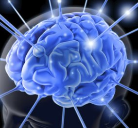 ARHGAP11B: Για πρώτη φορά το γονίδιο που λέει ότι ο ανθρώπινος εγκέφαλος ξεχωρίζει με μυαλό, λογική, αισθήσεις 