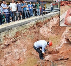 Αυτό θα πει Jurassic Park - βρίσκεται στην Κίνα & εκεί βρέθηκαν 43 αυγά δεινοσαύρων!