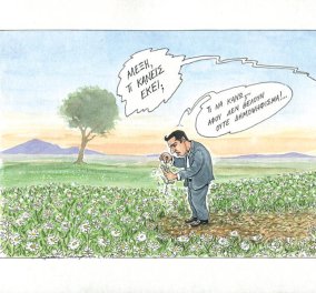 Σκίτσο Ηλία Μακρή: Γιατί ο Αλέξης Τσίπρας, μαδάει τη μαργαρίτα; 