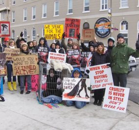  Η διαμαρτυρία των φιλοζωικών για έκθεση γούνας στην Αθήνα: "Παζάρι αίματος και δυστυχίας ανυπεράσπιστων, άγριων ζώων" 