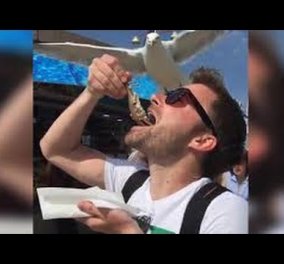 Απίθανο βίντεο: Γλάρος κλέβει φαγητό από το στόμα τουρίστα
