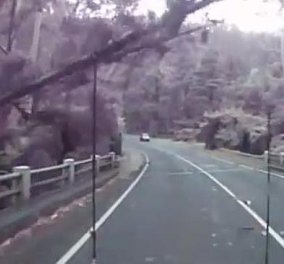 Αν έχεις τύχη διάβαινε... Δείτε πώς οδηγός γλίτωσε τελευταία στιγμή από 3 δέντρα που έπεσαν στο δρόμο!