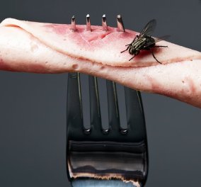 Βίντεο - αποκάλυψη: Δείτε τι γίνεται όταν κάθεται μια μύγα στο φαγητό σας