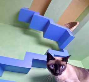 Ο Πίτερ Κοέν λατρεύει τις γάτες τόσο ώστε μετέτρεψε το σπίτι του στην Καλιφόρνια στον απόλυτο γατο-παιχνιδότοπο! (βίντεο)