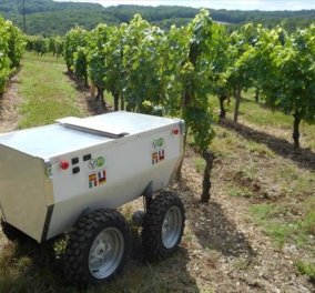 Όταν η Ρομποτική συνεργάστηκε με την Οινοποιία, «γεννήθηκε» το VineRobot - Γνωρίστε το εξειδικευμένο αγροτικό ρομπότ!