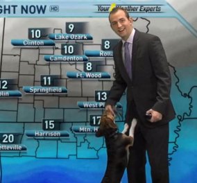 Παρουσιαστής του καιρού παίζει με τον σκύλο του on air & χαρίζει άφθονο γέλιο! (Βίντεο)