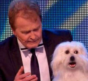 Γράφτηκε ιστορία στο Britain's Got Talent: Απολαύστε τη Wendy, τον σκύλο που μπορεί να... μιλάει! Πρωτοφανές & απίστευτο! (βίντεο)