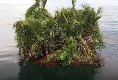 Ιδού το πιο μικρό νησί στον πλανήτη! Με διαστάσεις 2x2μ. στη μέση του Ινδικού Ωκεανού - Δείτε το βίντεο