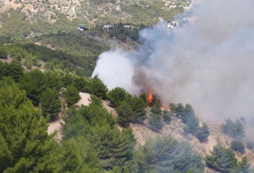 Μεγάλη φωτιά στις Καρυές Χίου: Μήνυμα 112 στους κατοίκους - Επιχειρούν εναέρια μέσα (φωτό-βίντεο)