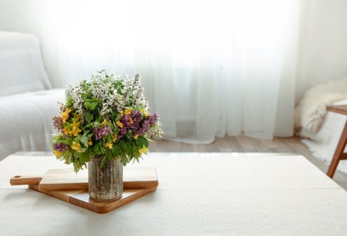 Σπύρος Σούλης: Τα 5 πανέμορφα & μυρωδάτα λουλούδια που είναι ανθεκτικά στη ζέστη - Έτσι θα έχετε γεμάτα τα βάζα σας !