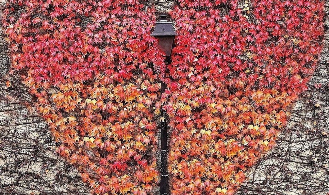 Φωτό ημέρας: Η φθινοπωρινή καρδιά – Μια εικόνα, χίλιες λέξεις/ Photo: Intagram - @patrickcolpron