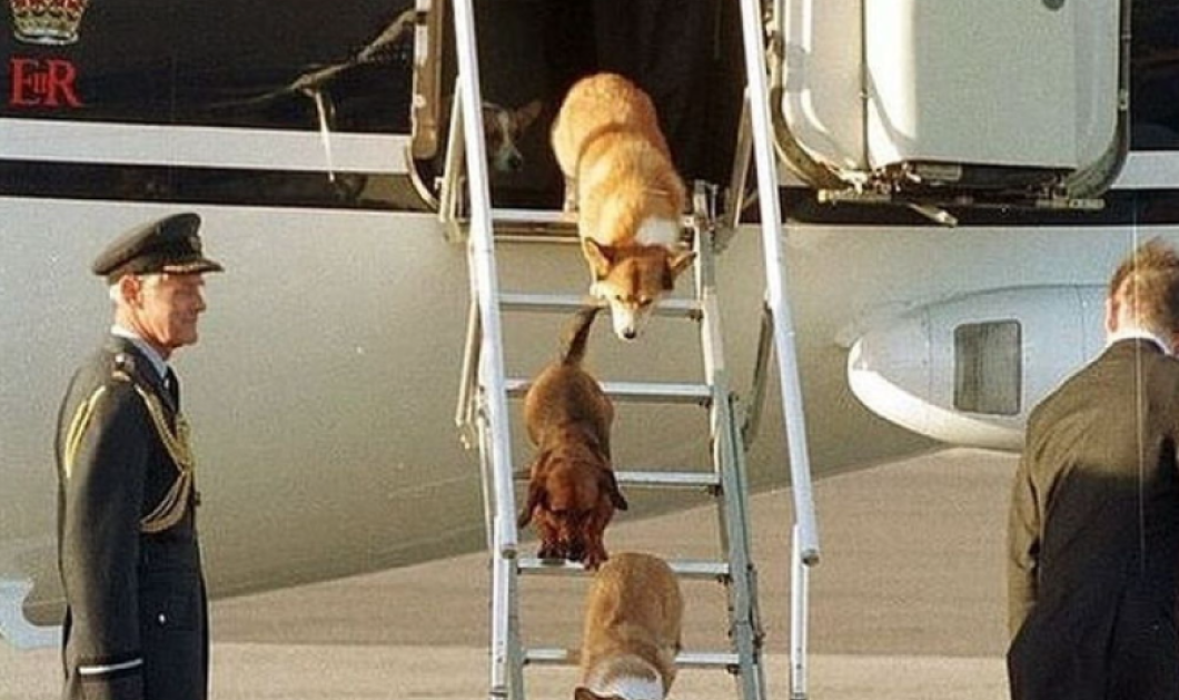 Φωτογραφία ημέρας: Queen Elizabeth II & her Dogs Disembark from her Private Jet, 1998